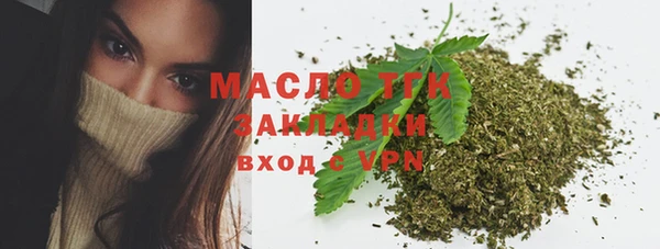 молекула духа Михайлов
