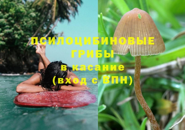 PSILOCYBIN Михайловск