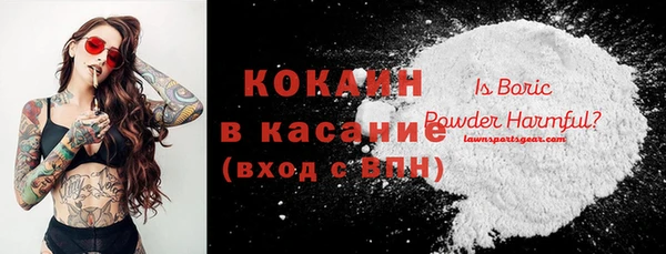 молекула духа Михайлов