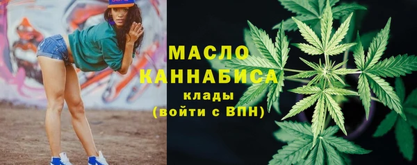 молекула духа Михайлов