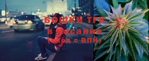 молекула духа Михайлов