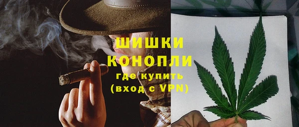 молекула духа Михайлов